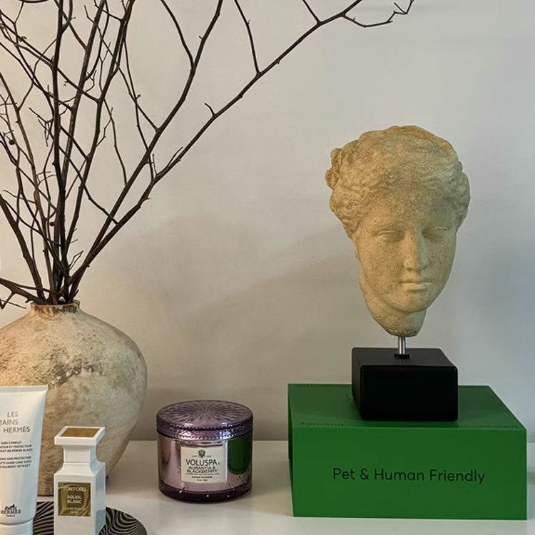 Medieval Light Luxury Art Portrait Sculpture Ornament