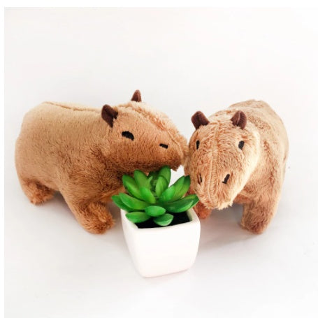 Sleeping With Capy Guinea Pigs And Comforting Plush Dolls