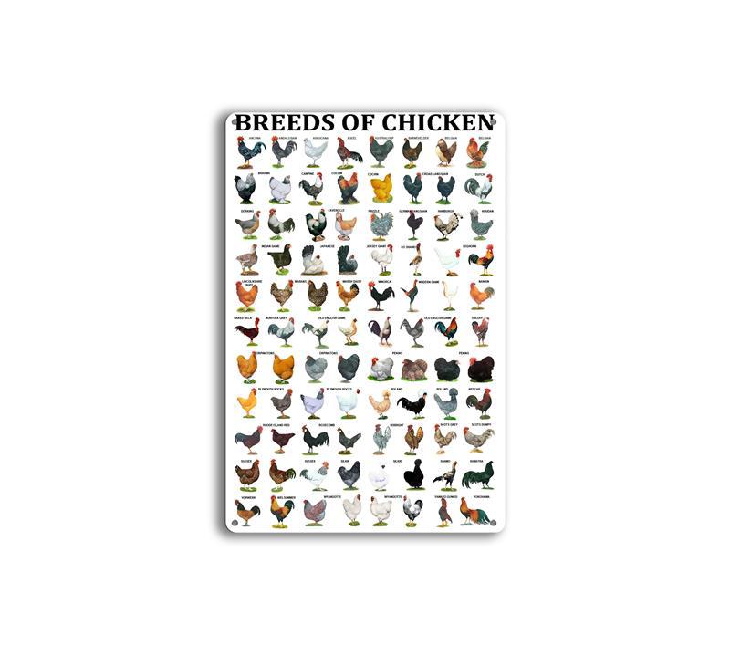 Retro Cafe Bar Wall Decorated Hangtag