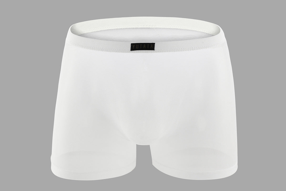 Men's Mesh Transparent One-piece Boxers Underwear